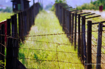 Majdanek Barbed Wire Fence 0003