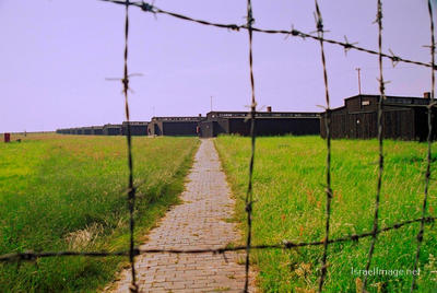 Majdanek Barbed Wire Fence 0004