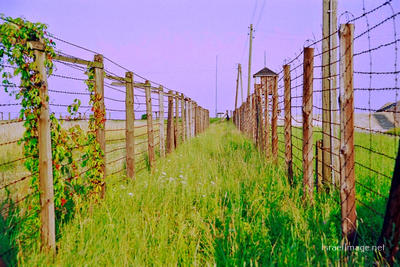 Majdanek Barbed Wire Fence 0009