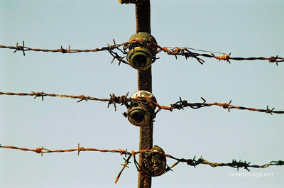 Mauthausen Barbed Wire Fence 0002