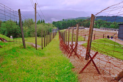 Natzweiler-Struthof Barbed Wire Fences 0002