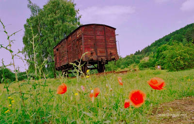 Nordhausen (Dora-Mittelbau) Transport Railway Car 0001
