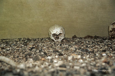 Stutthof Crematorium 0006