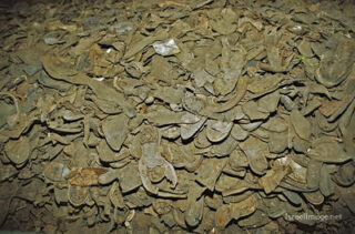 stutthof  concentration camp Stutthof Prisoners' Shoes 0002