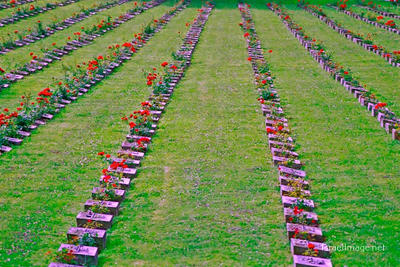 Terezin Memorial For The Dead 0004