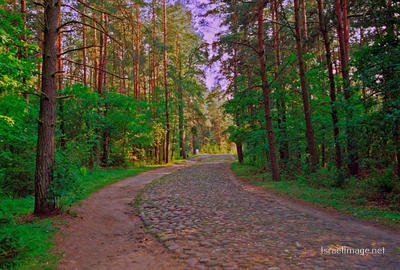 Treblinka Entrance To The Camp 0004