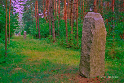 Treblinka Stones Delimiting Boundary 0002