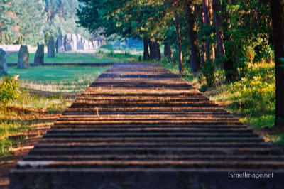 Treblinka Symbolic Rail Line 0001