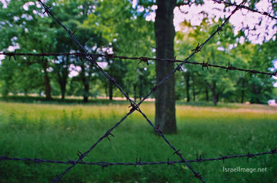 Westerbork Barbed Wire Fence 0003
