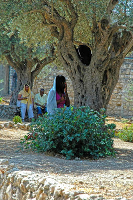 christian people praying Christian People Praying Jerusalem Gethsemani 0004