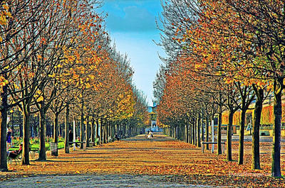 Paris French Foliage 0004