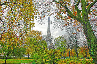 Paris French Foliage 0008