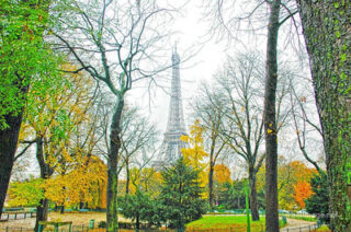 Paris French Foliage 0009