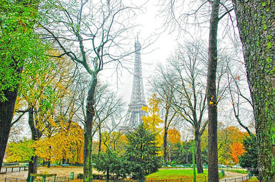 Paris French Foliage 0009