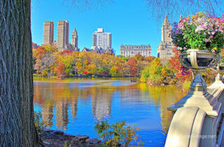 usa new york city central park foliage Usa New York City Central Park Foliage 0014