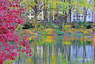 usa new york city central park foliage Usa New York City Central Park Foliage 0015