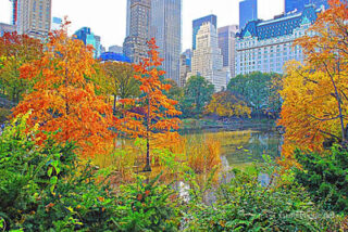 usa new york city central park foliage Usa New York City Central Park Foliage 0016