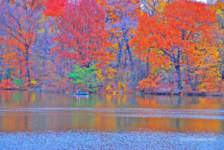 usa new york city central park foliage Usa New York City Central Park Foliage 0017