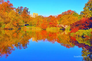usa new york city central park foliage Usa New York City Central Park Foliage 0019