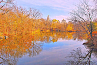 usa new york city central park foliage Usa New York City Central Park Foliage 0020