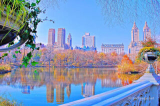 usa new york city central park foliage Usa New York City Central Park Foliage 0021