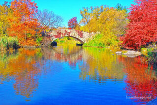 usa new york city central park foliage Usa New York City Central Park Foliage 0022