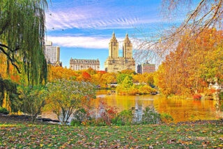usa new york city central park foliage Usa New York City Central Park Foliage 0023
