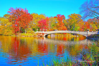 usa new york city central park foliage Usa New York City Central Park Foliage 0024
