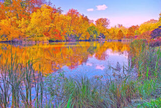 usa new york city central park foliage Usa New York City Central Park Foliage 0026