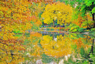 usa new york city central park foliage Usa New York City Central Park Foliage 0027
