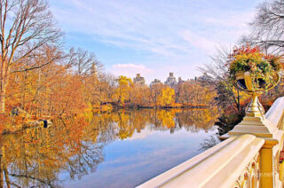 usa new york city central park foliage Usa New York City Central Park Foliage 0028