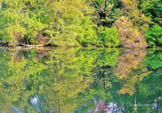 usa new york city central park foliage Usa New York City Central Park Foliage 0029