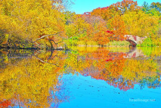 usa new york city central park foliage Usa New York City Central Park Foliage 0030
