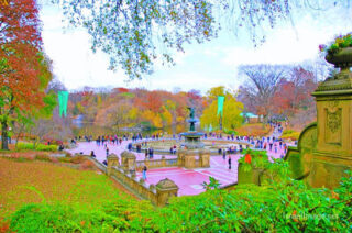 Usa New York City Central Park Foliage 0032