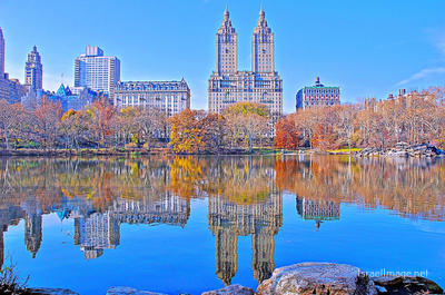 Usa New York City Central Park Foliage 0033