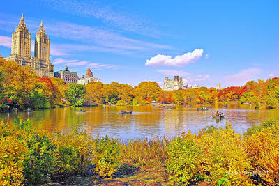 Usa New York City Central Park Foliage 0035