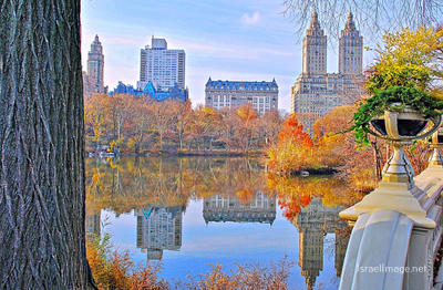 Usa New York City Central Park Foliage 0038