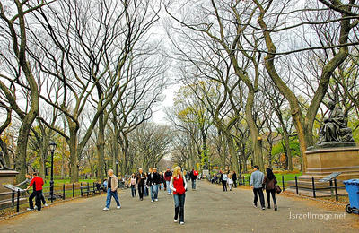 Usa New York City Central Park Foliage 0045