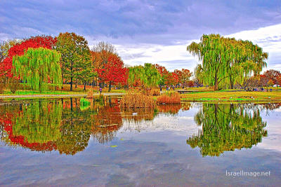 Usa Washington Dc Foliage 0002