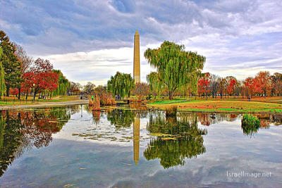Usa Washington Dc Foliage 0005