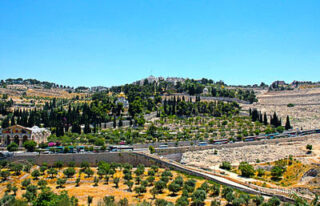 the footsteps of jesuse Jerusalem Mt Of Olives 0001