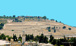 the footsteps of jesuse Jerusalem Mt Of Olives 0002