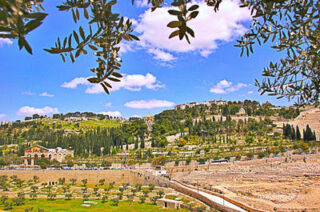 the footsteps of jesuse Jerusalem Mt Of Olives 0004