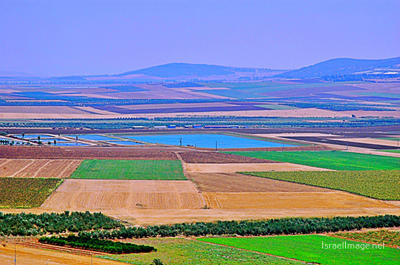 Jezreel Valley 0001