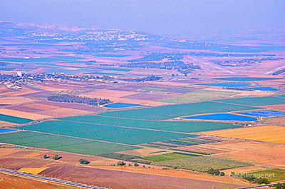 Jezreel Valley 0003
