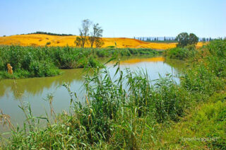 the footsteps of jesuse Jordan River 0003