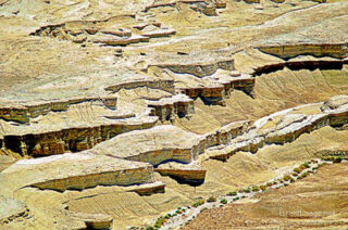 the footsteps of jesuse Judean Desert 0003