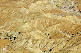 the footsteps of jesuse Judean Desert 0004