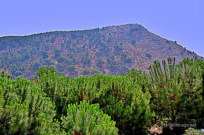 Mt Precipitation 0001