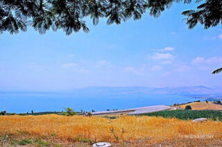 the footsteps of jesuse Sea Of Galilee Kinneret 0001